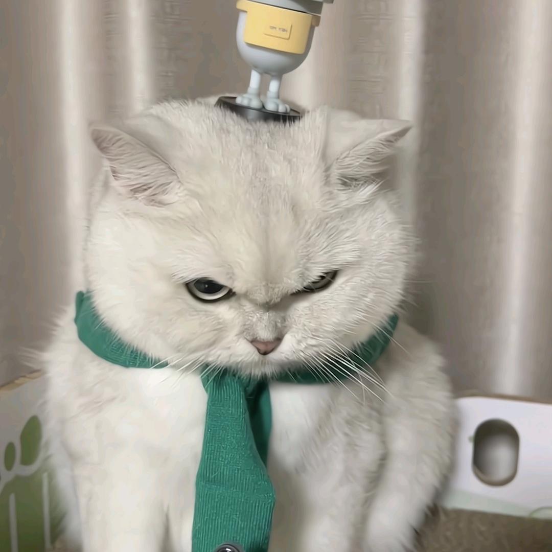 难懂