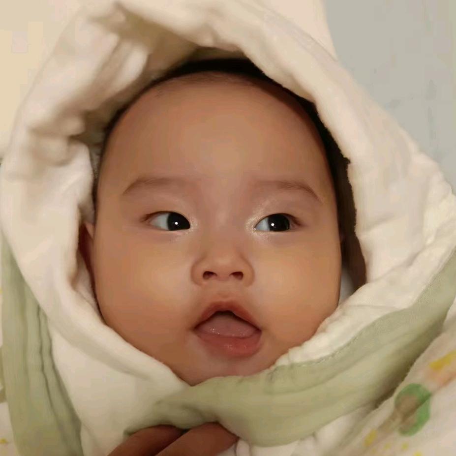 小麦穗