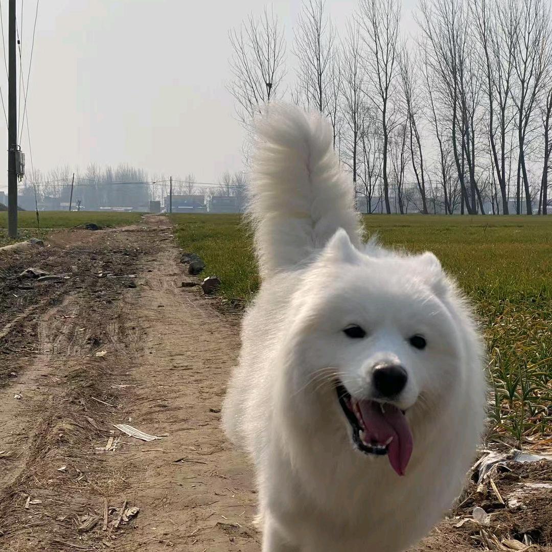 来都来了