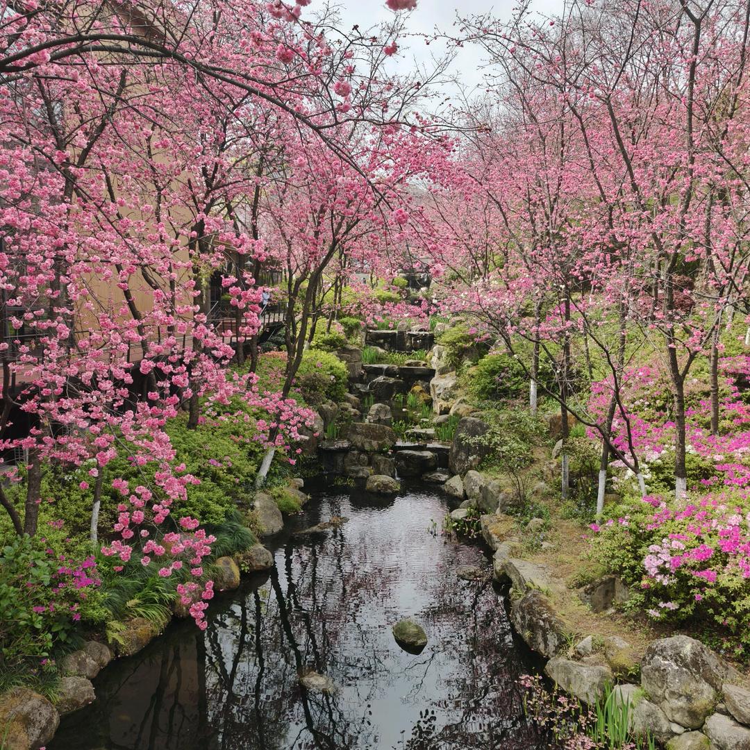 思念……