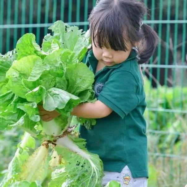 火车站满天星幼儿园