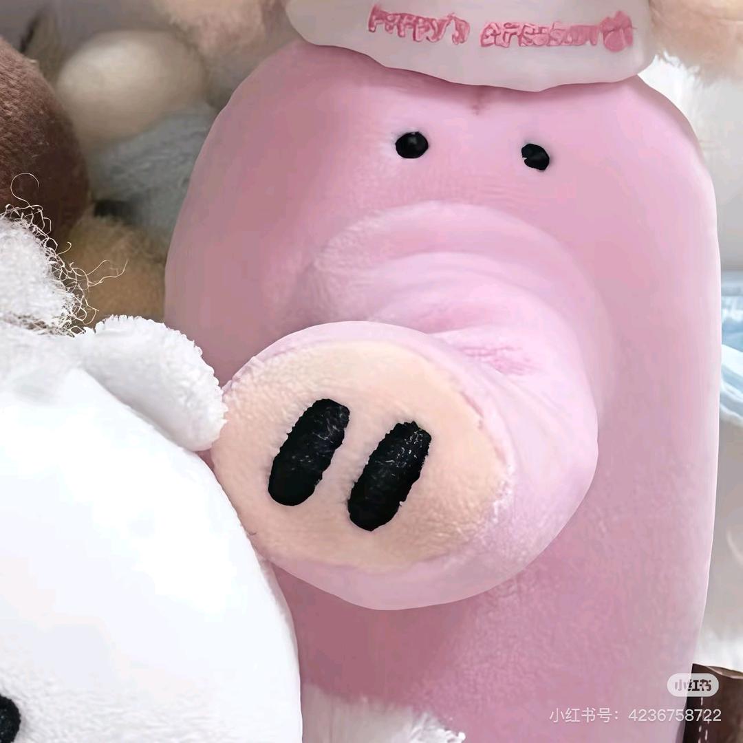 一只咸鱼