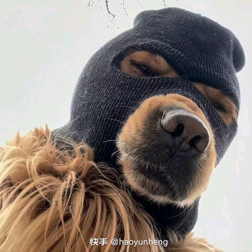 昊翔爱吃辣