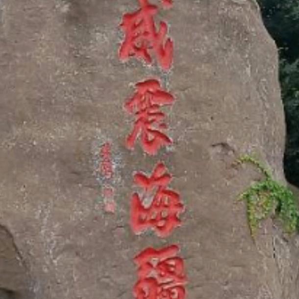 赢鑫装饰（副业养鸽）