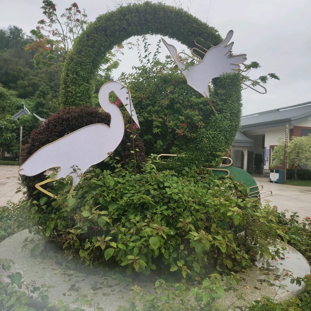 金秋🌿十月