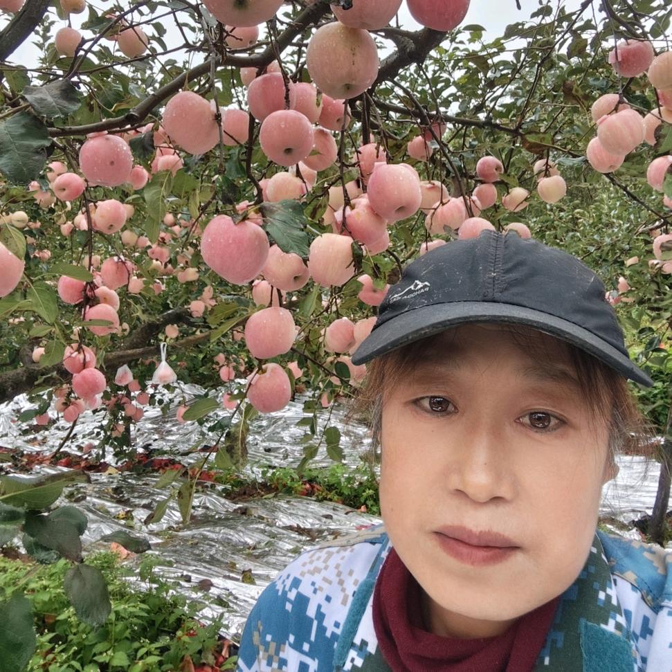 栖霞种苹果的唐姐