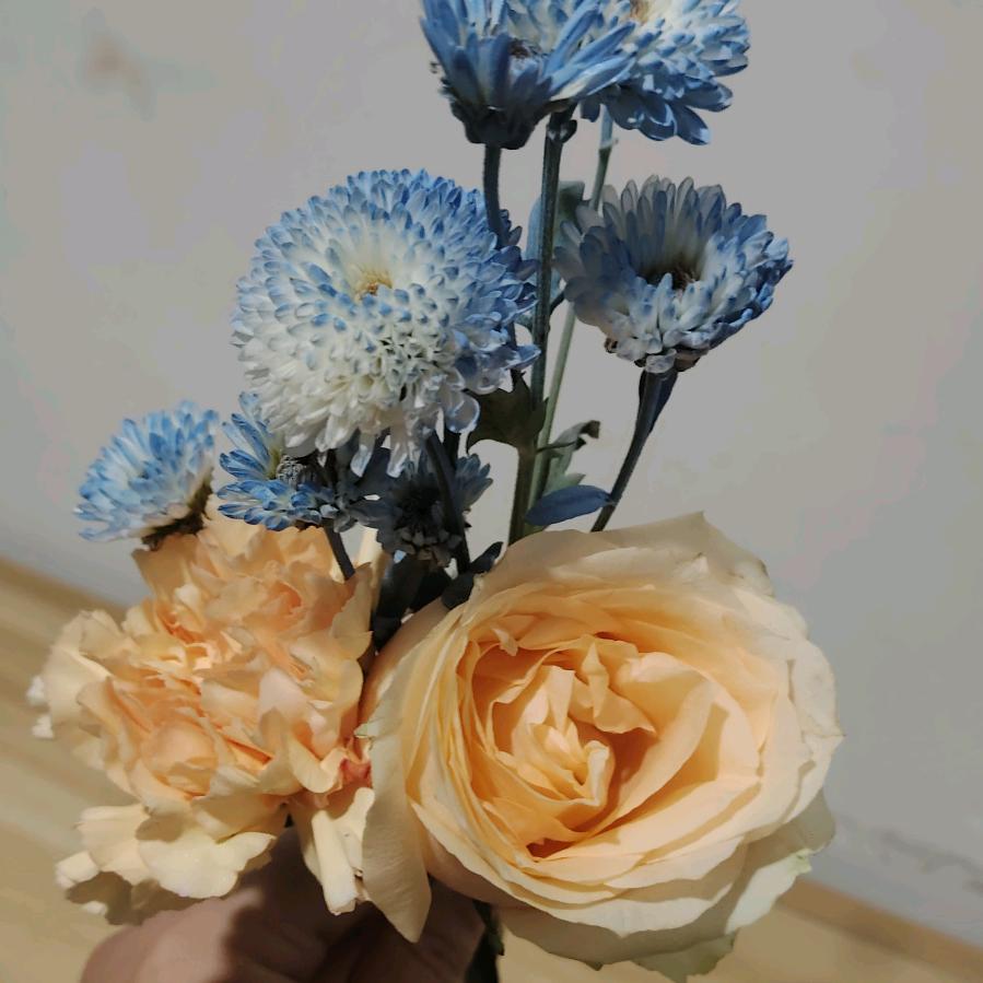 站住…说你呢