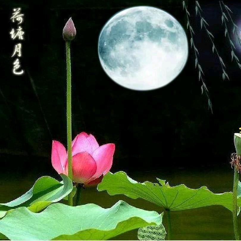 荷塘月色.音乐餐吧（阳江店）