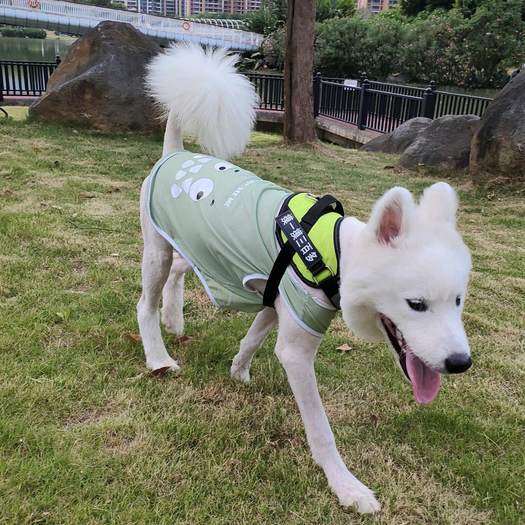 进宝也很宝