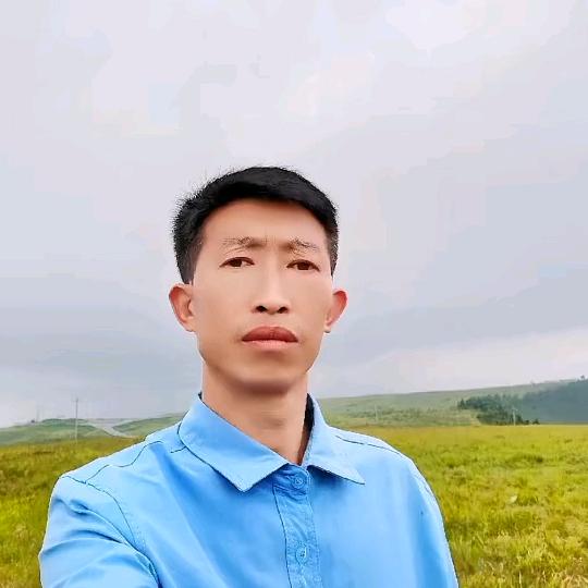 落叶飞花