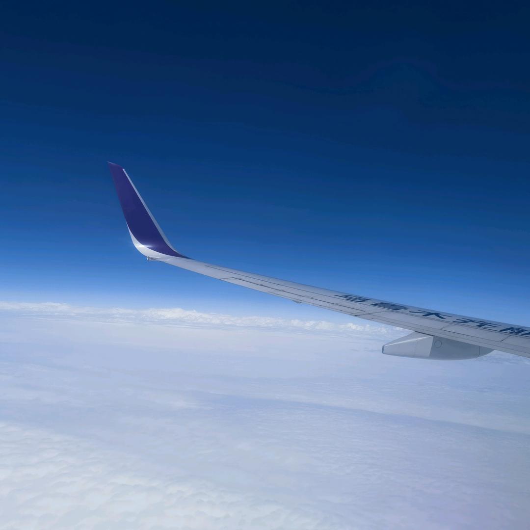 哈基米的梦想✈️