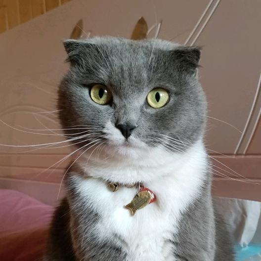 别来无恙