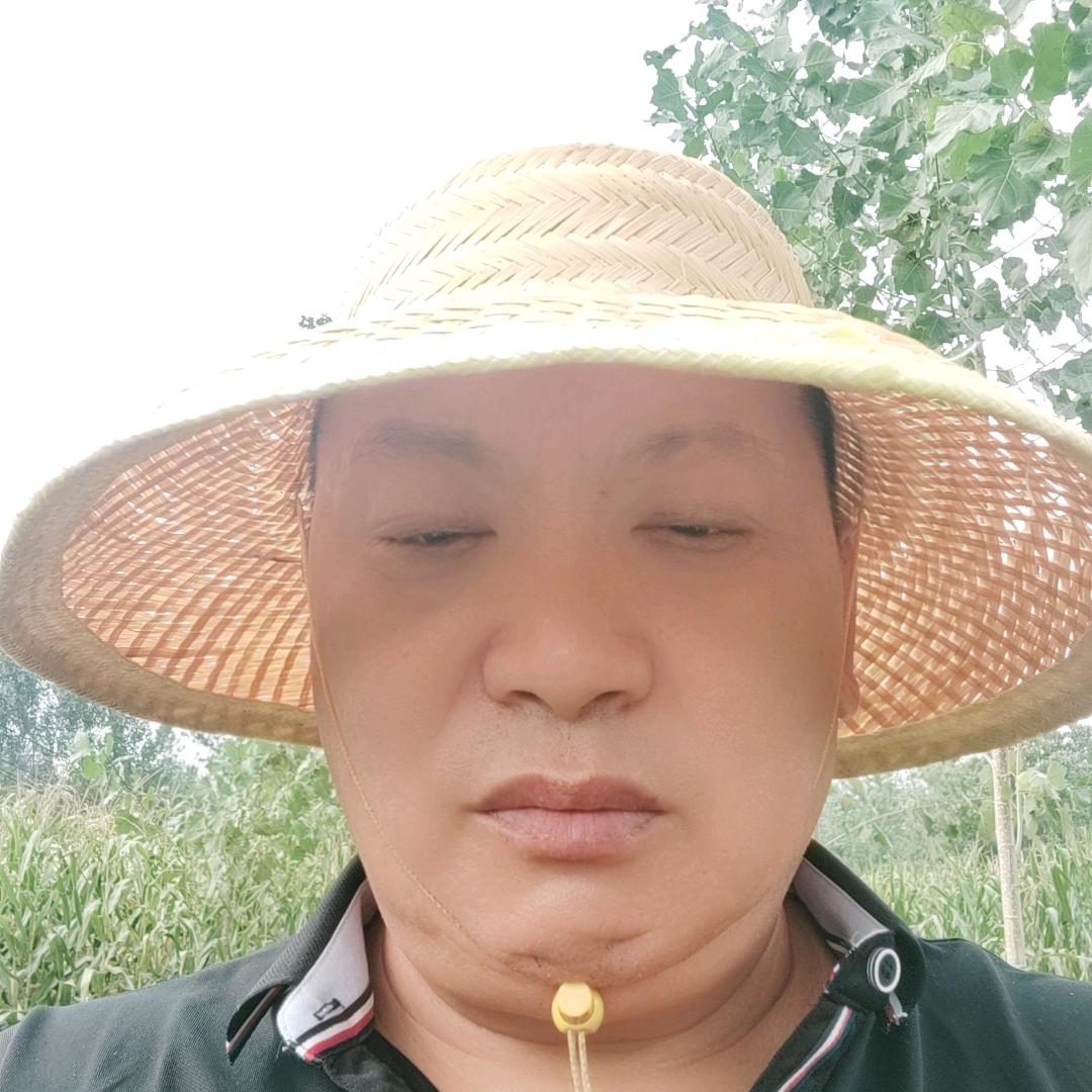 a解甲归田