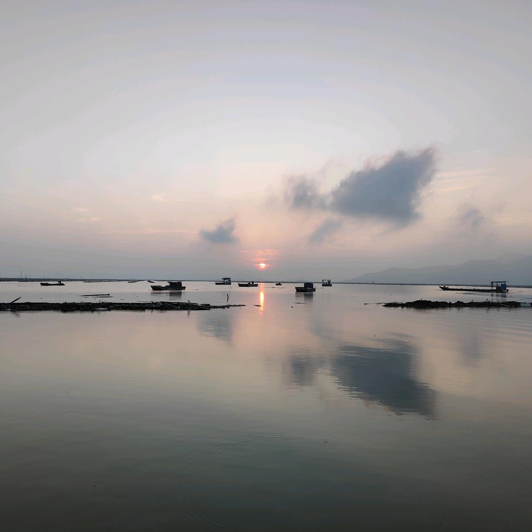 fish in