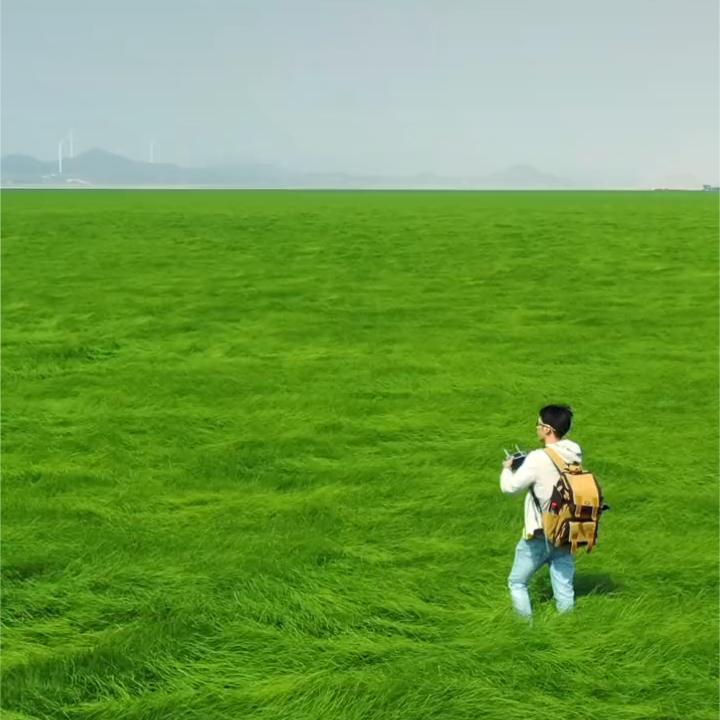向往