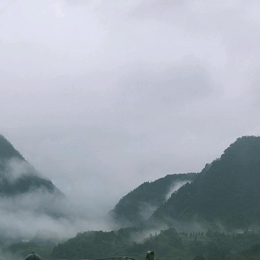糖醋小排骨