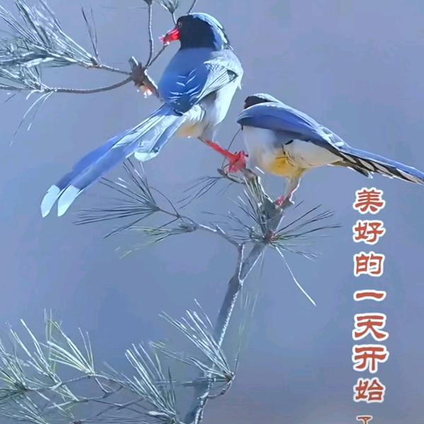 走走路疯了