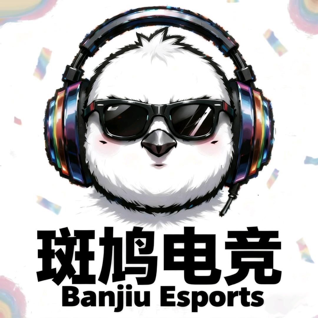 斑鸠电竞（三角洲撞车）