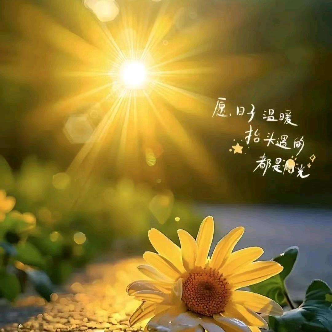 ✨随遇而安✨