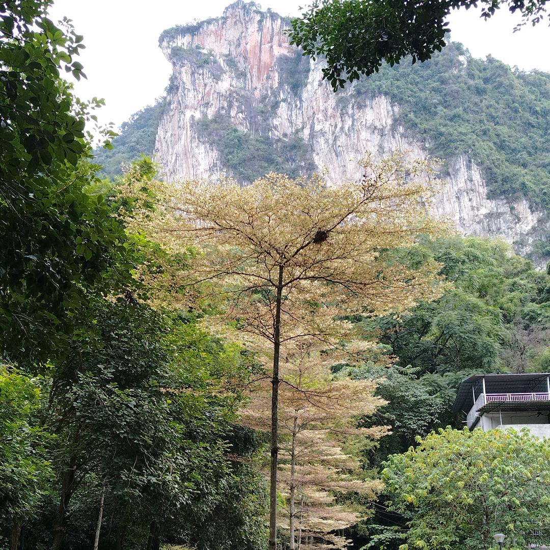 河池小莫已关注你