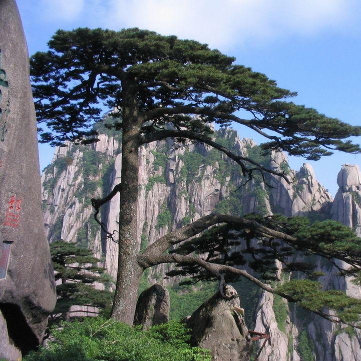 云淡风轻吟