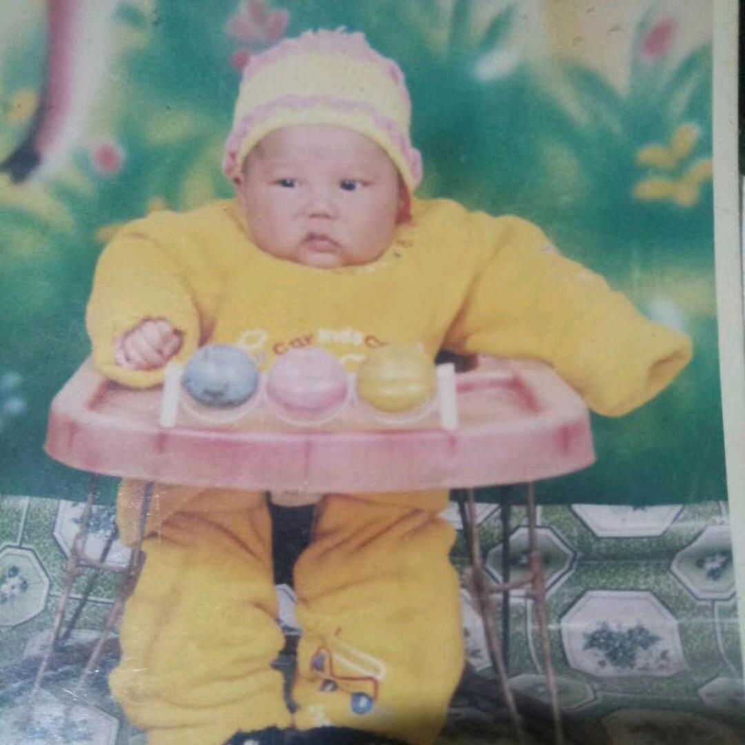 秋天的枫叶