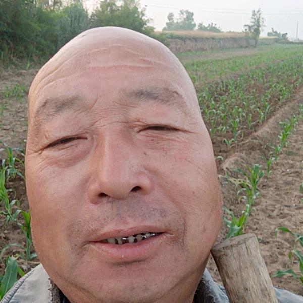 王金保
