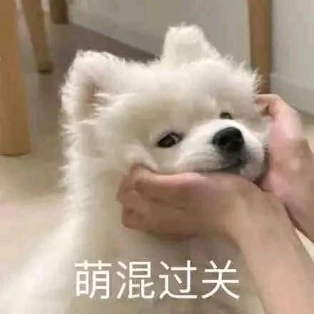 我的好朋友