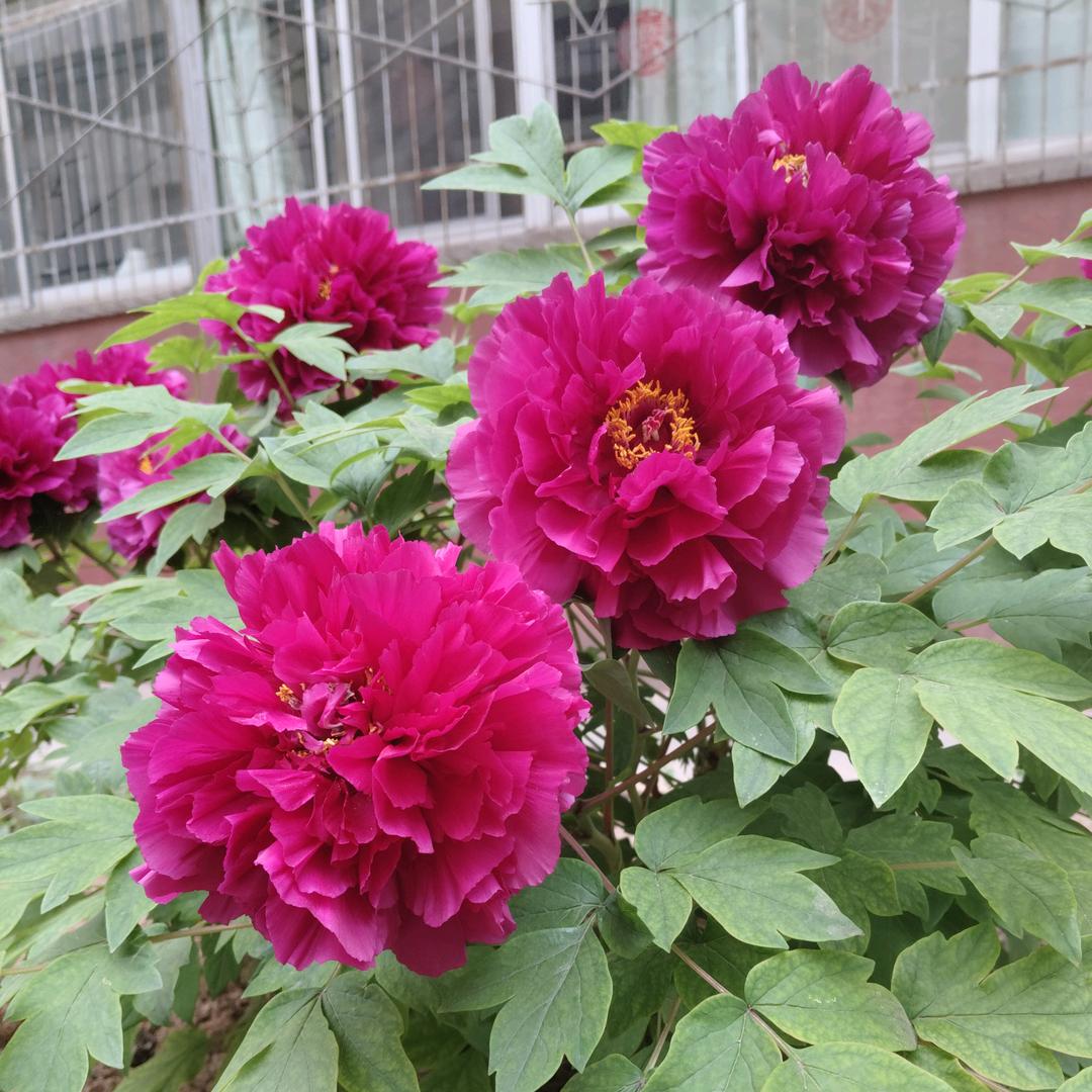 未来可期₍˄·͈༝·͈˄*₎◞ ̑̑