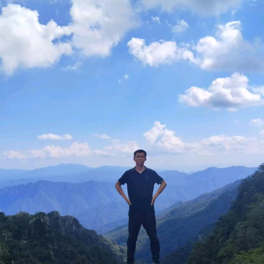 刘海平