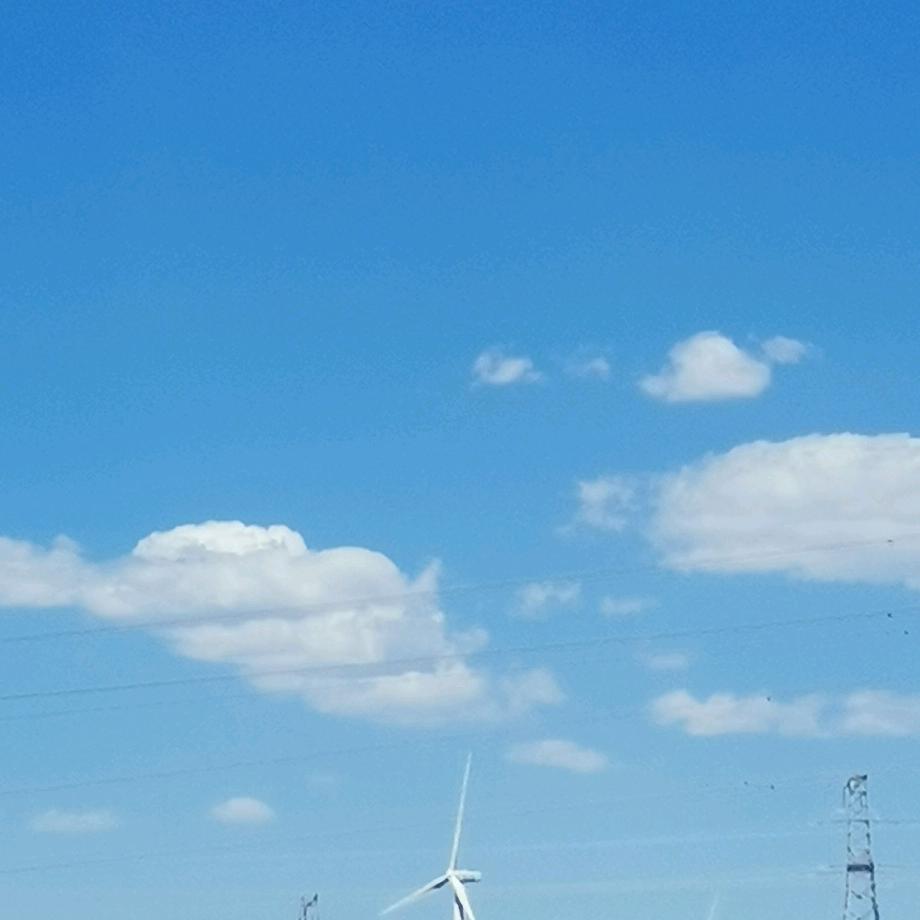 汝月