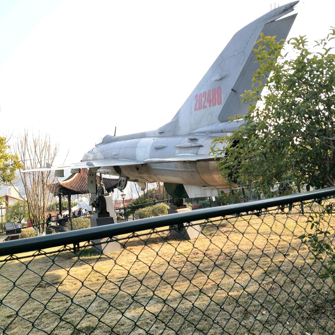 简单的自己☘️☘️🌻🌻