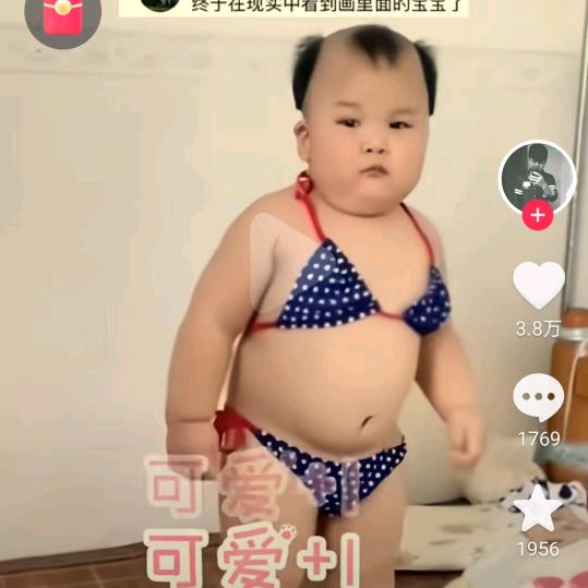 雪豹