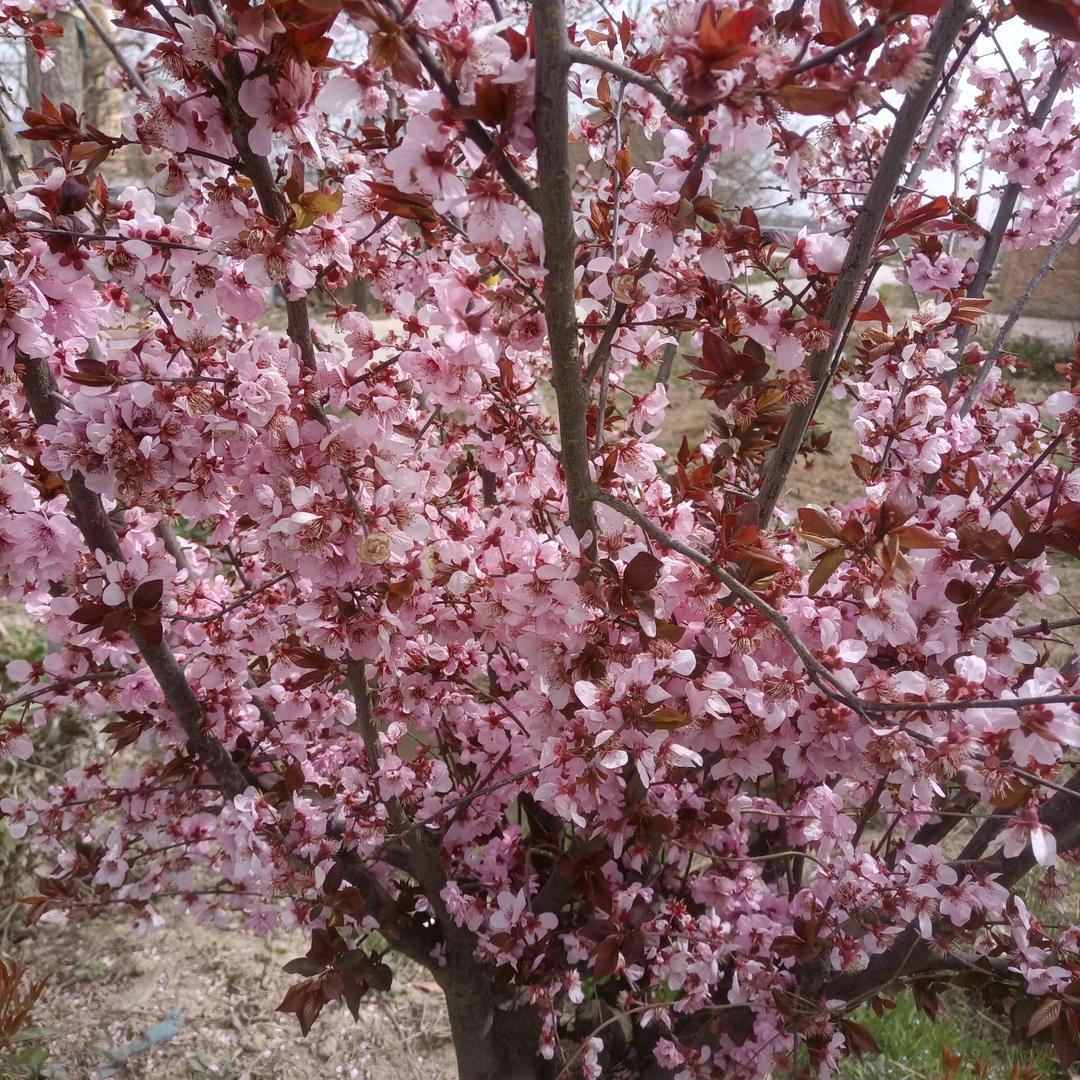 四宝奶奶（爱运动）