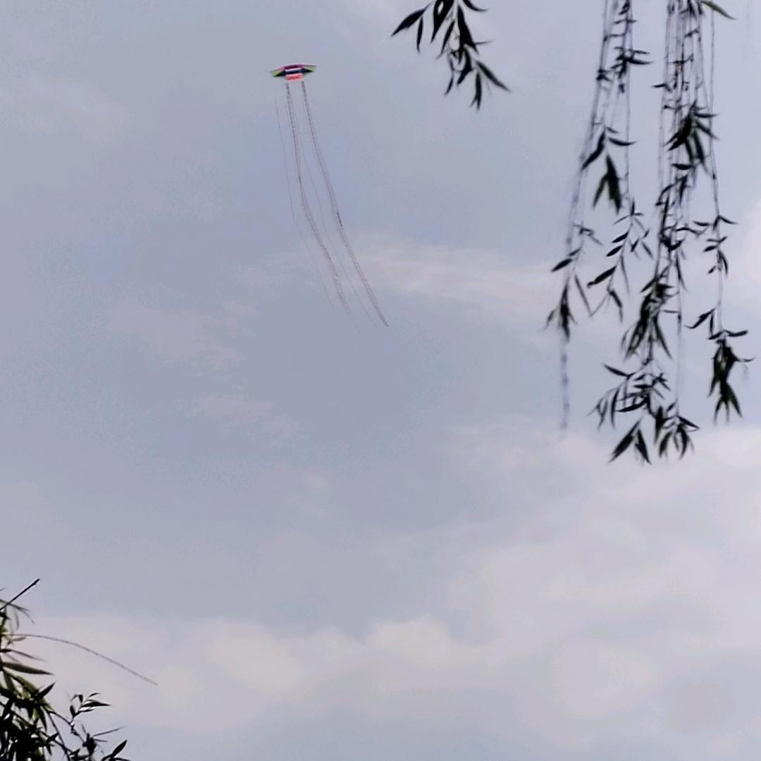 青铜树