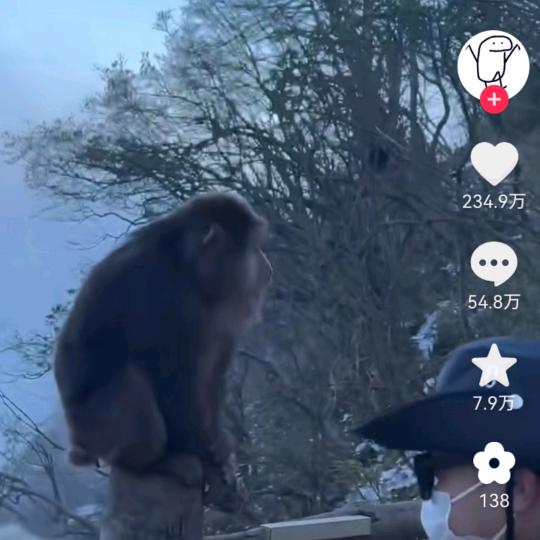 大圣归来吧唧