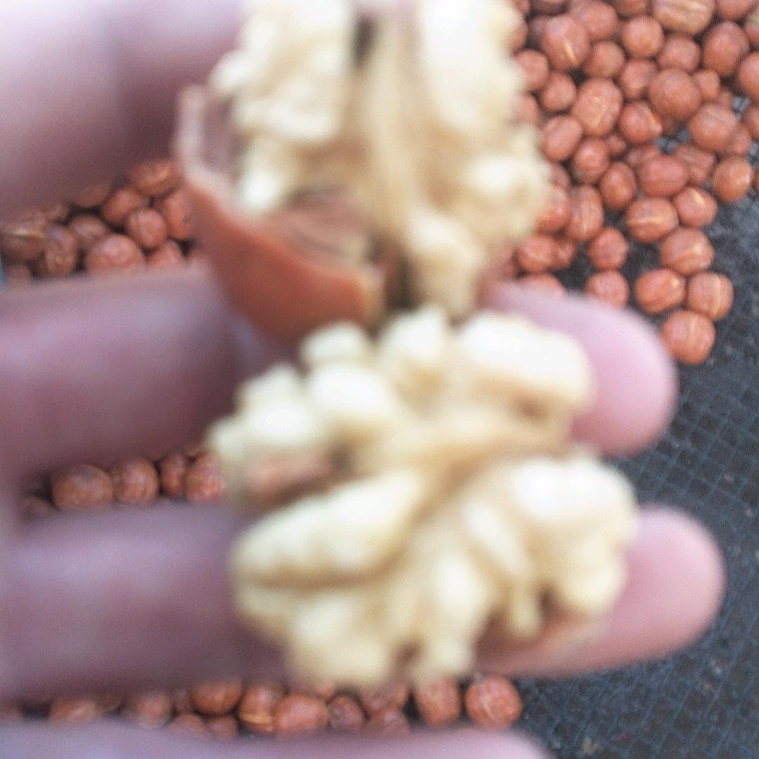 千年核桃王，核桃油核桃出售。