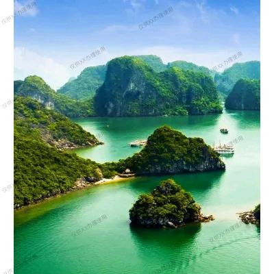 茉莉之都守旺者