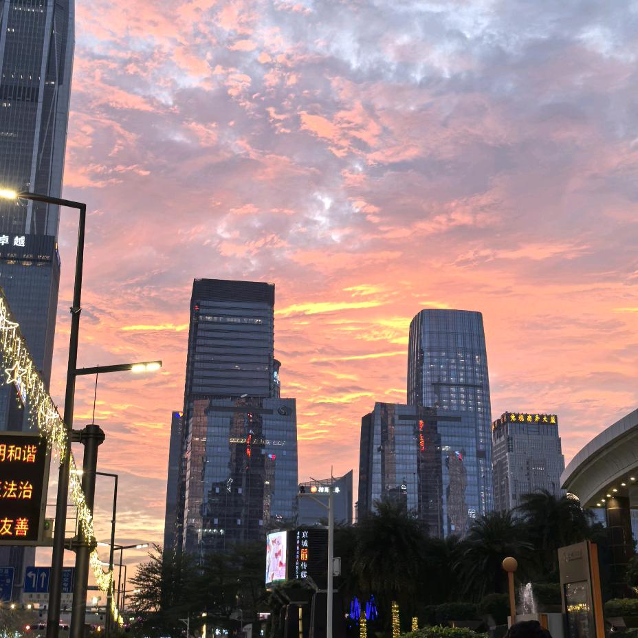小瑶羊毛日记