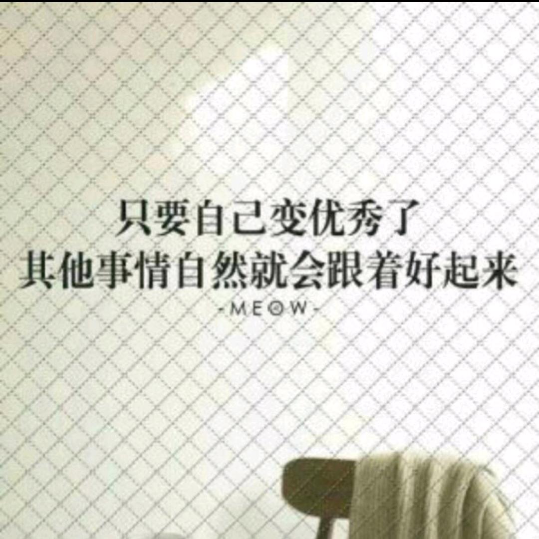 买不起A6的帕萨特车主