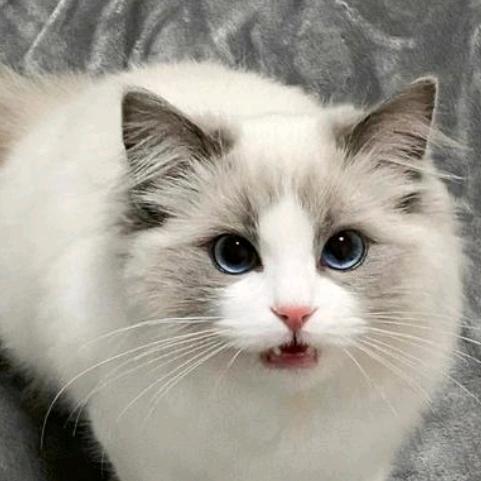织暖