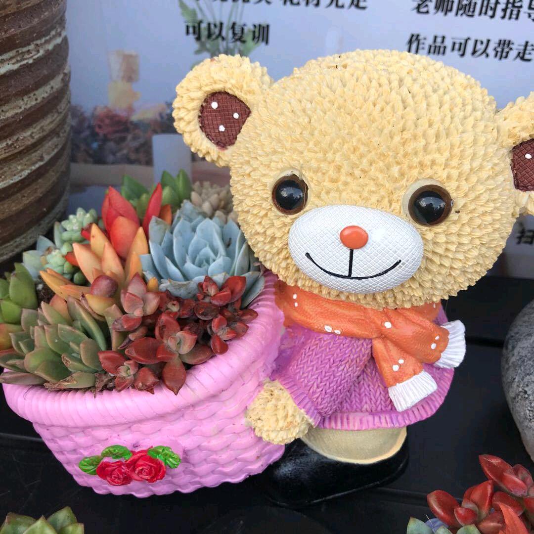 水月