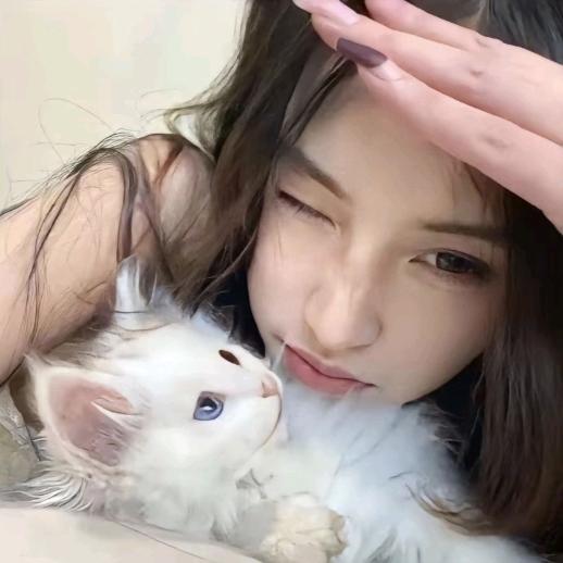 杨了个羊🐑