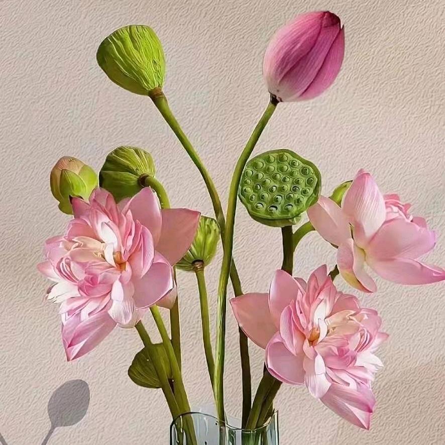 @ℋღ᭄记录生活᭄💞࿐: ღ