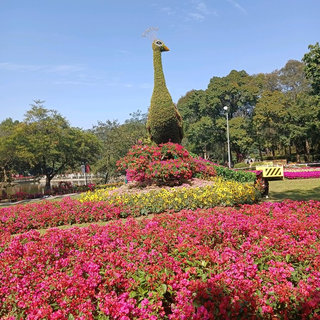 珍姐🌷🌴🌷💫