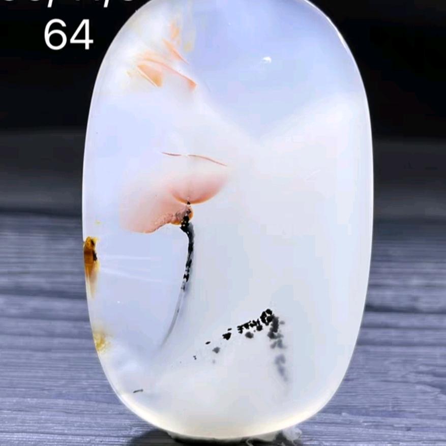 睡不醒的泡泡