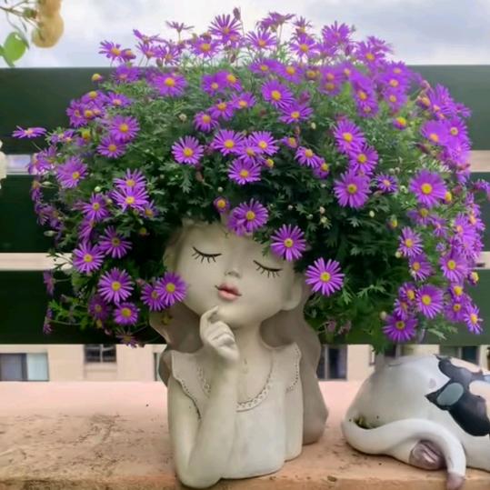 এ᭄雾李看花ོꦿ࿐