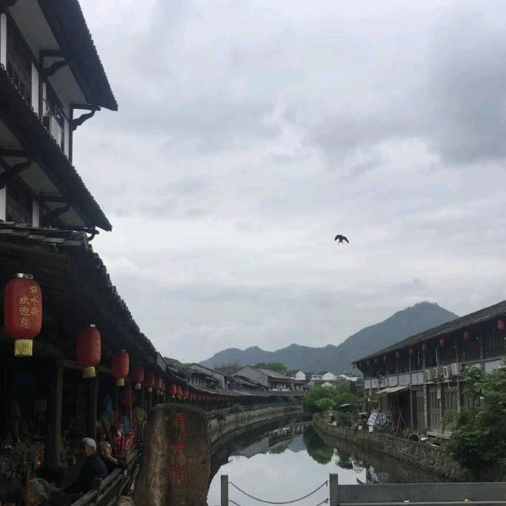 在干嘛