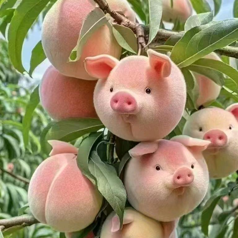 猪刚鬣饲育官🐷