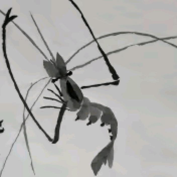 ༿田野༾